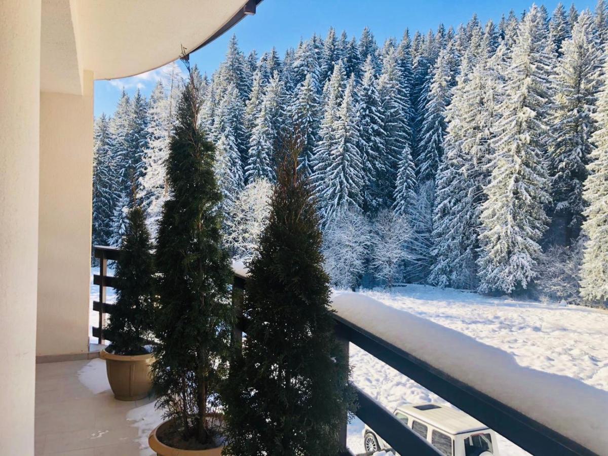 Maya Luxury Residence Пояна-Брашов Экстерьер фото