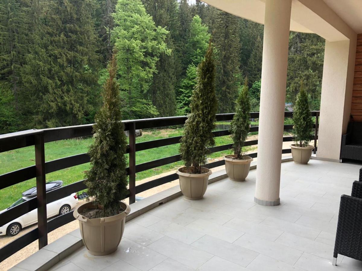 Maya Luxury Residence Пояна-Брашов Экстерьер фото