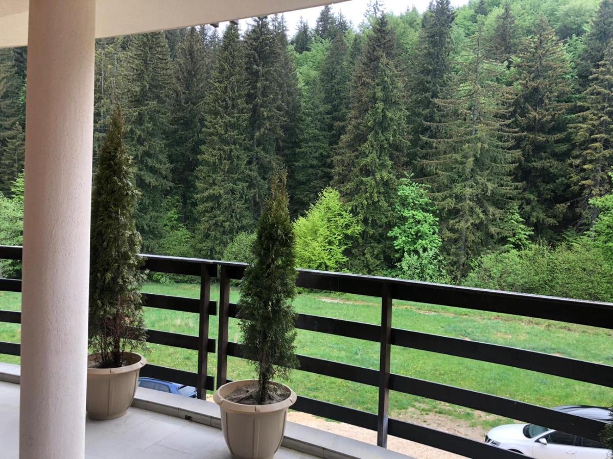Maya Luxury Residence Пояна-Брашов Экстерьер фото